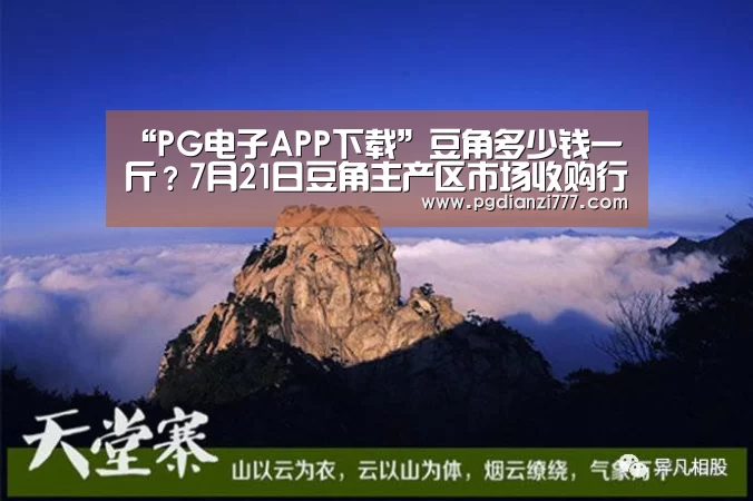 PG麻将登录入口